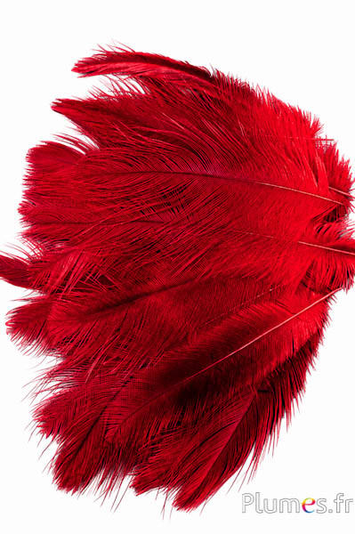 Kraanvogel - 10-14 cm - rood-grijs